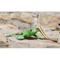 Tree frog with gold leg