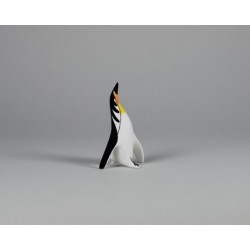 Pingwin mały kolorowy
