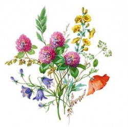 Kubek śląski (mały) - dekoracja kwiaty polne z koniczyną