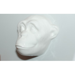 Monkey - head (colour)