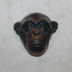 Małpka -głowa (kolory)